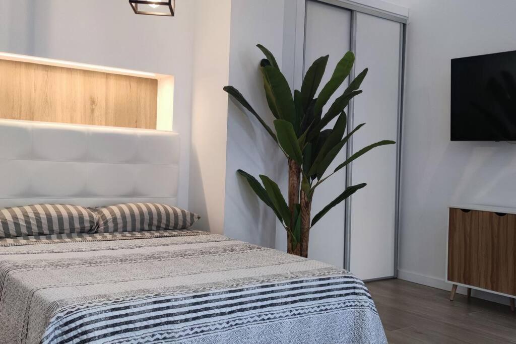 ולנסיה Estudio Diseno Cerca Ciudad Ciencias Vt-55211-V מראה חיצוני תמונה